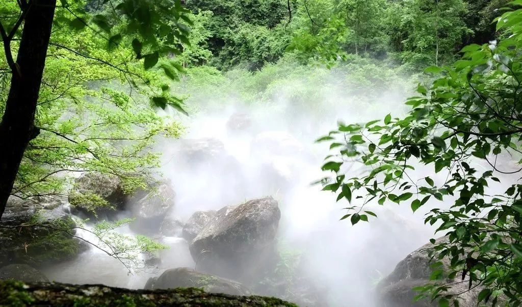 “霧森”系統(tǒng)、“霧森”景觀