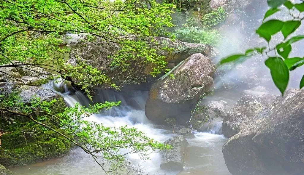 “霧森”系統(tǒng)、“霧森”景觀