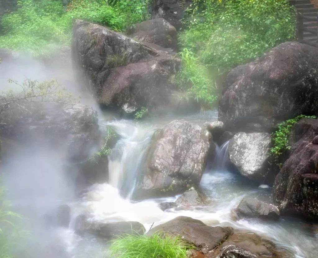 “霧森”系統(tǒng)、“霧森”景觀