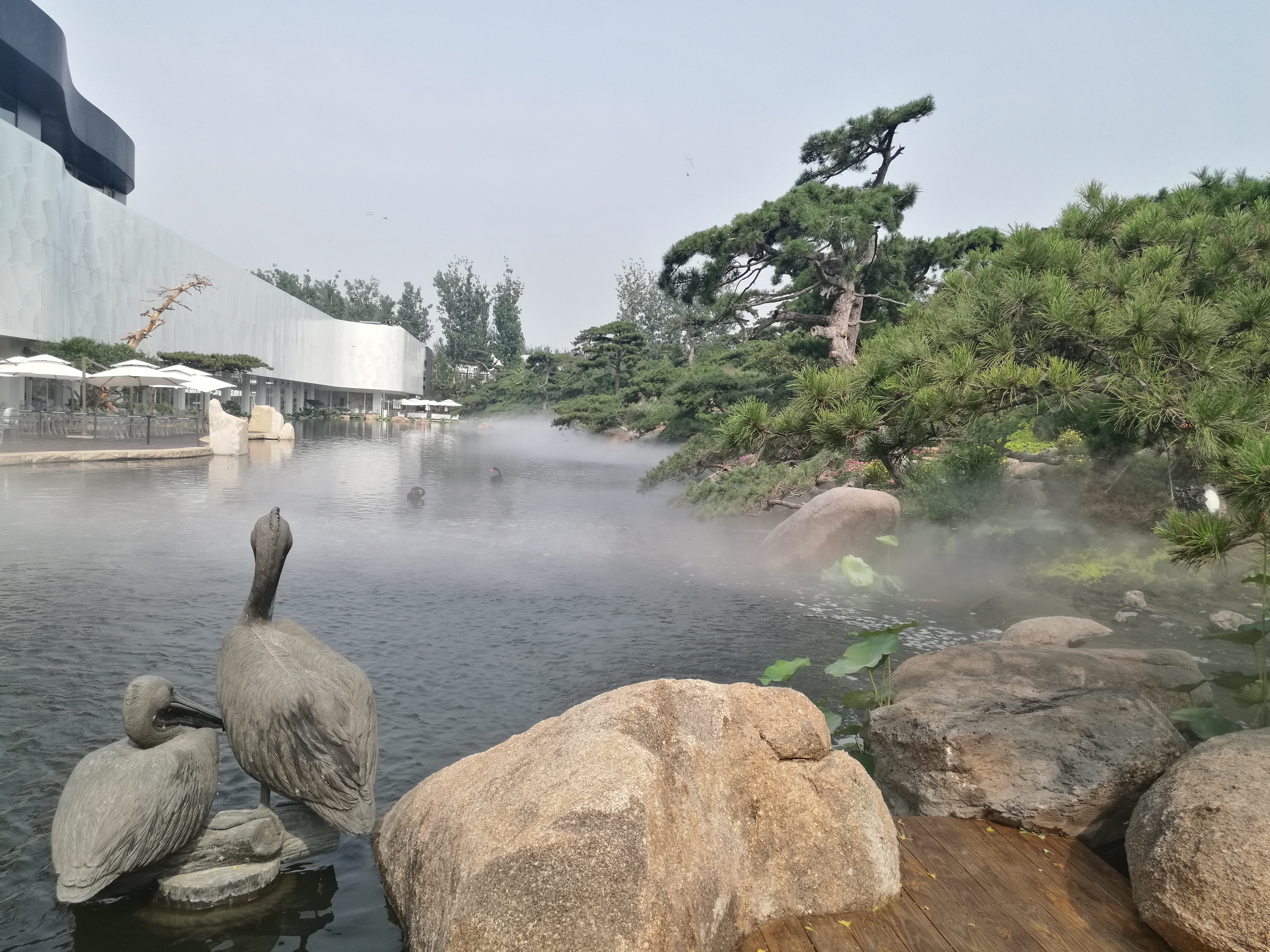 羅紅美術(shù)館霧森景觀造霧項(xiàng)目